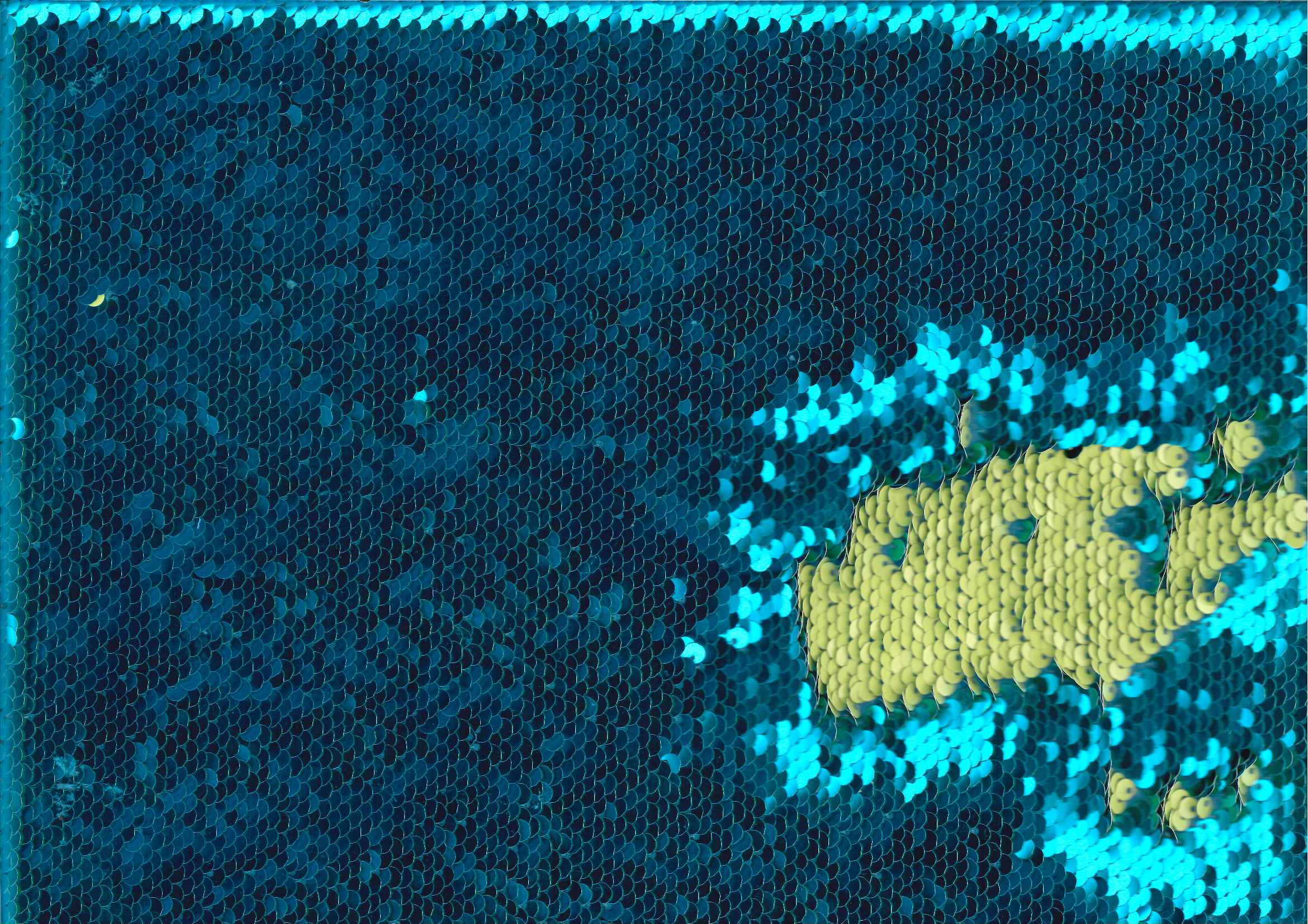 28351 — Sequins reverse