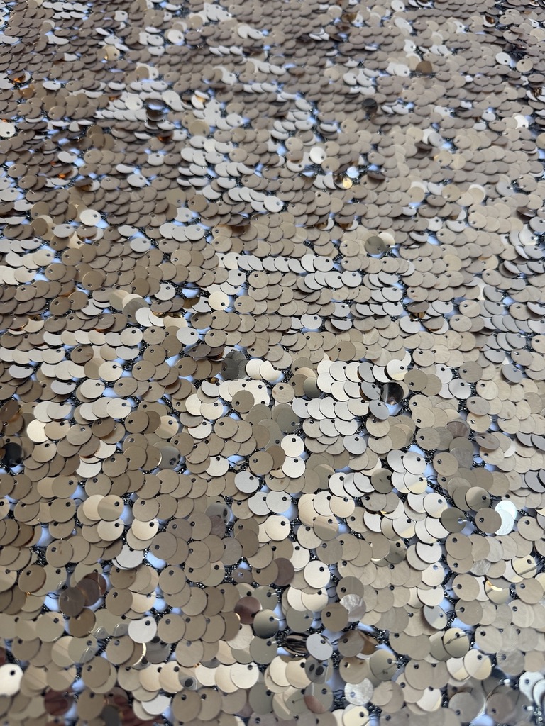 31323 — Paillettes su rete oro