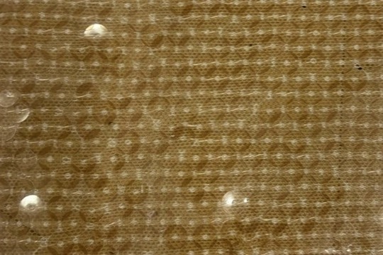 34