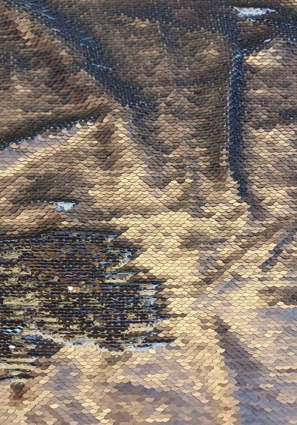 33