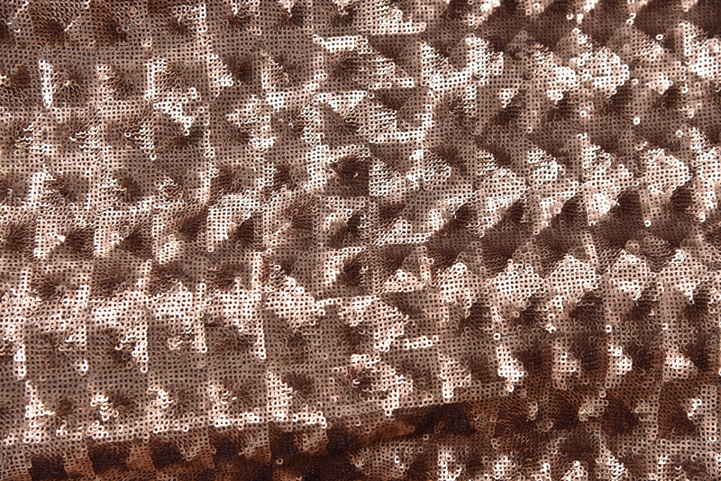 28303 — Paillettes su tulle elastico