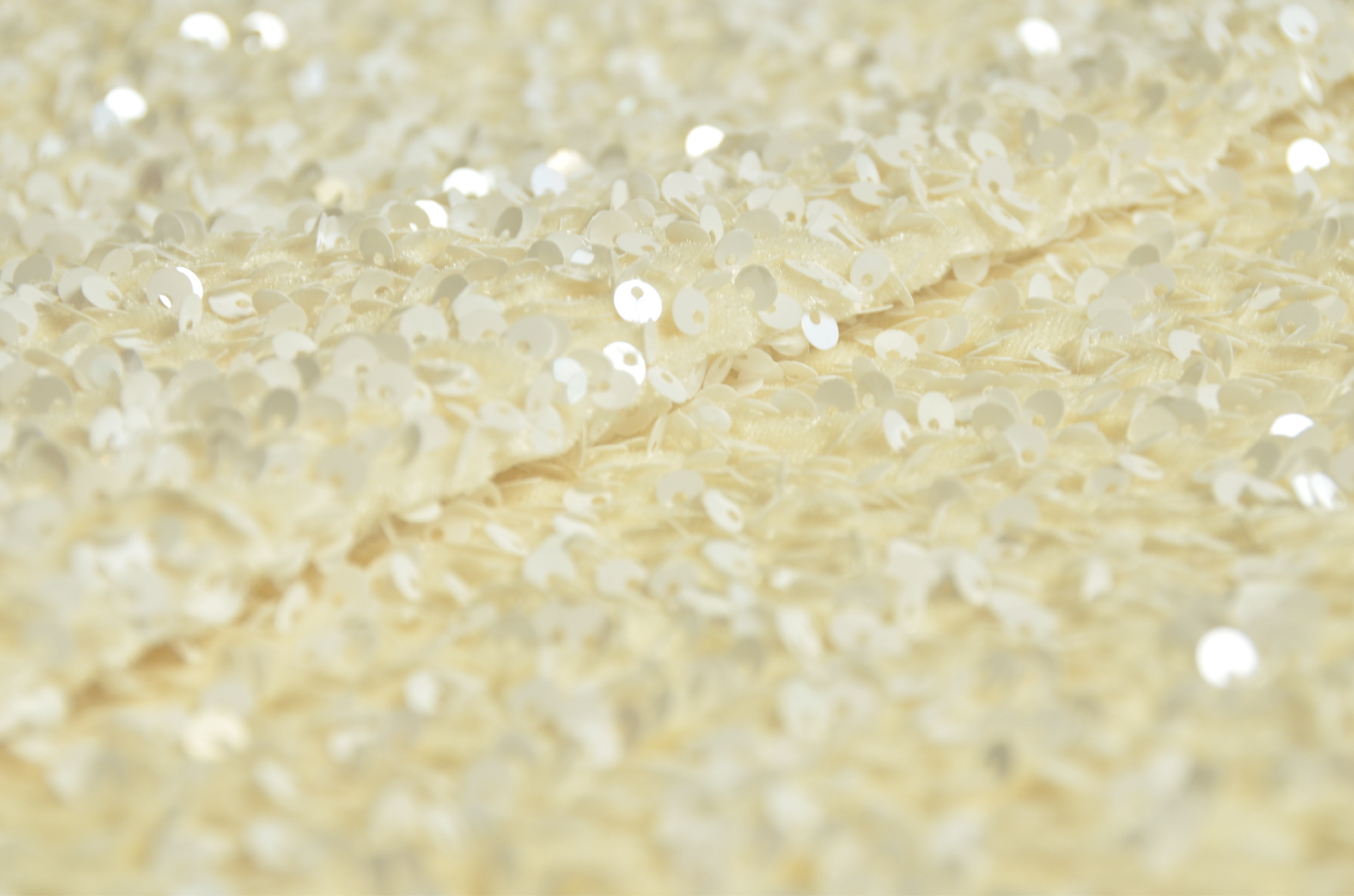 36405 — Paillettes su fondo velluto