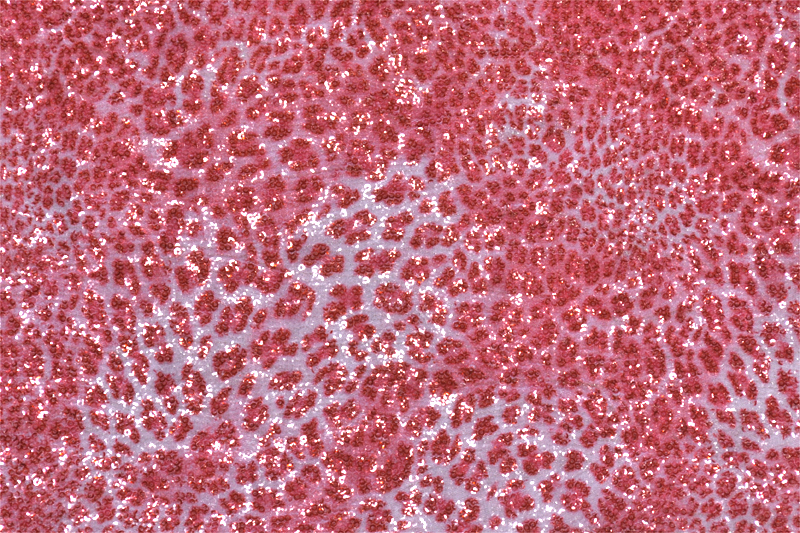 28019 — Paillettes stampata