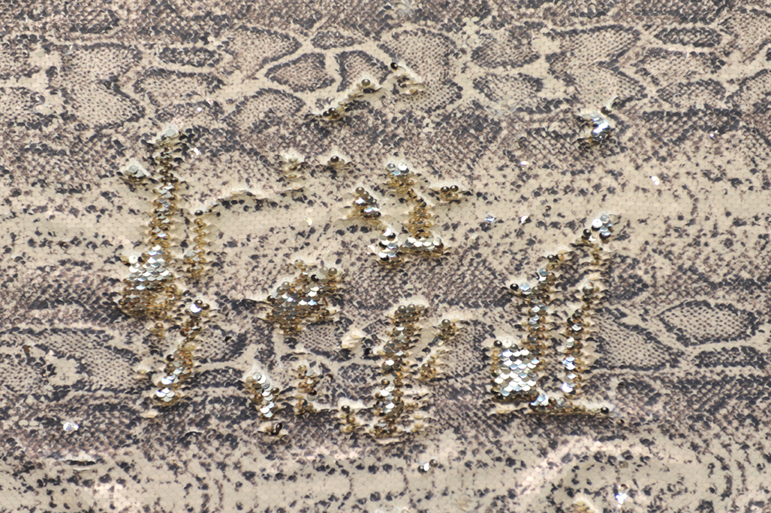 28745 — Paillettes reversibili disegno pitone