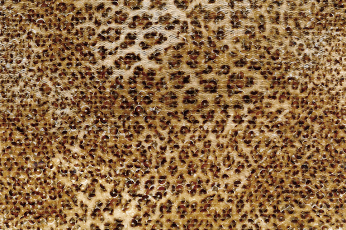 019