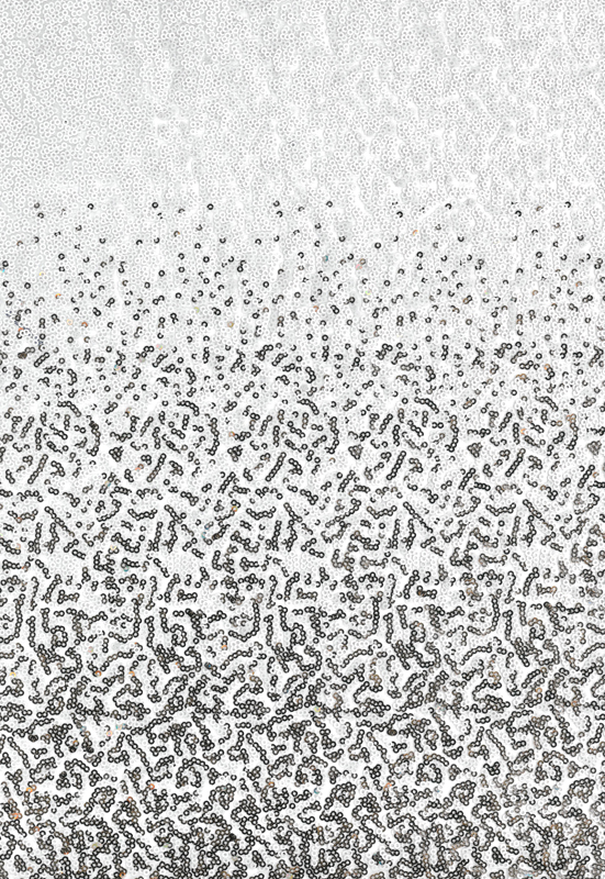 28729 — Paillettes sfumate