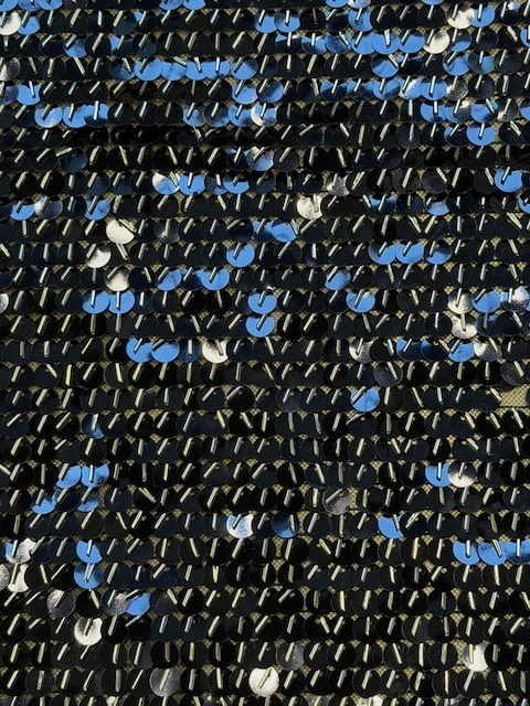39559 — Paillettes con frangia montate su tulle