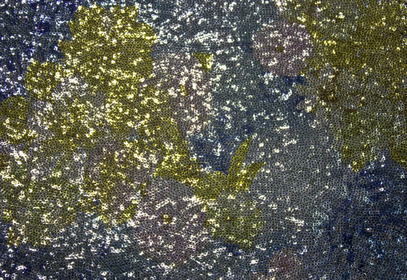 28209 — Stampa su paillettes