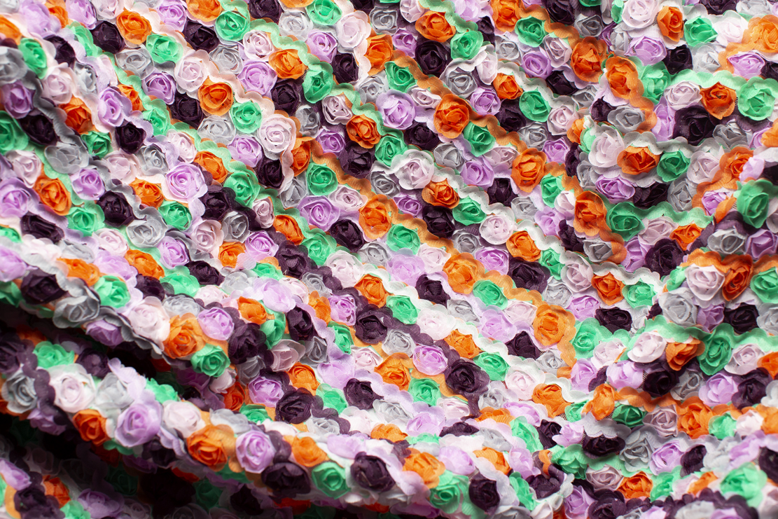 81386 — Rose multicolor