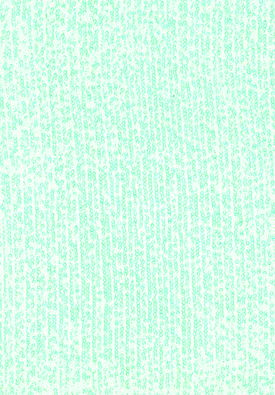 28830 — Sequins all over